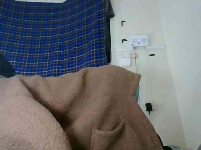 Vinsishly11 webcam