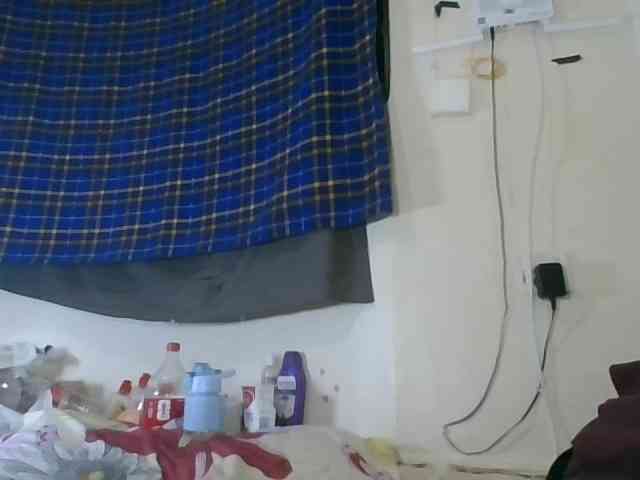 Vinsishly11 webcam