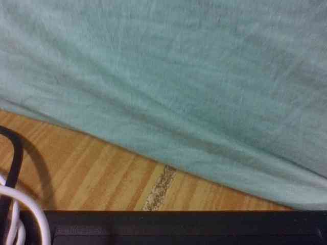 Vinsishly11 webcam