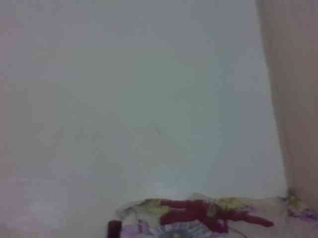 Vinsishly11