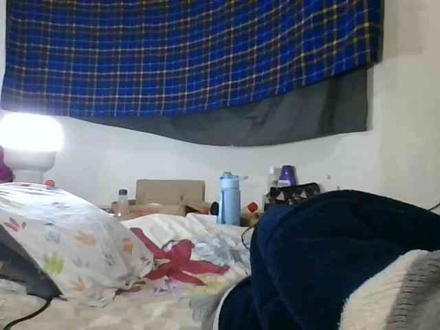 Vinsishly11 webcam