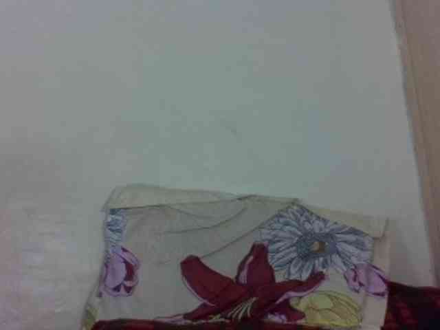 Vinsishly11