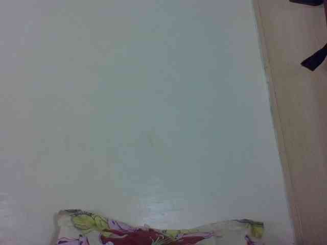 Vinsishly11 webcam