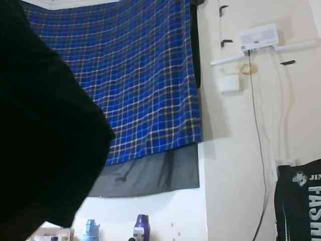Vinsishly11 webcam