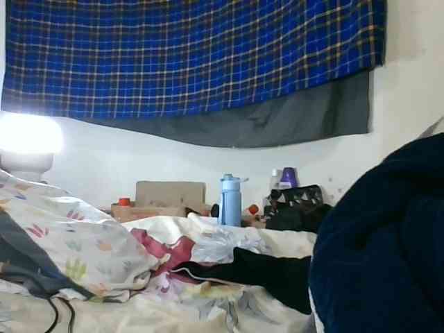 Vinsishly11 webcam