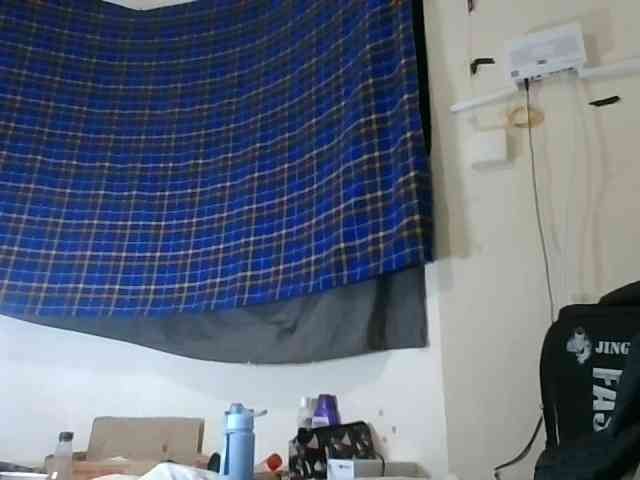 Vinsishly11 webcam