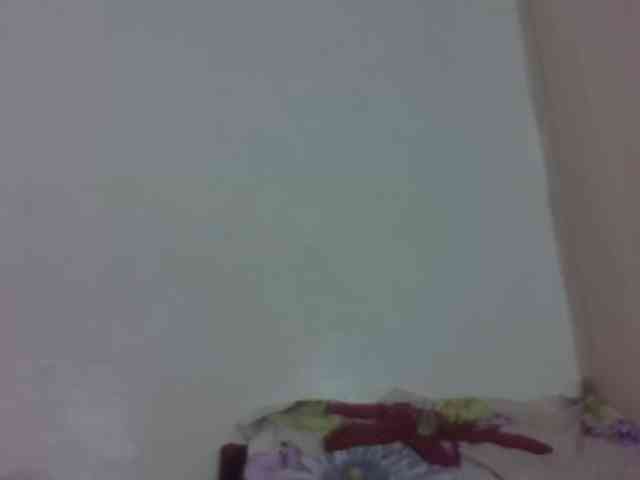 Vinsishly11