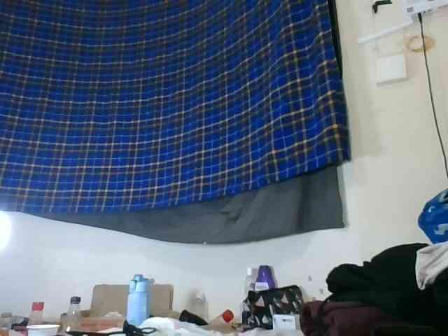 Vinsishly11