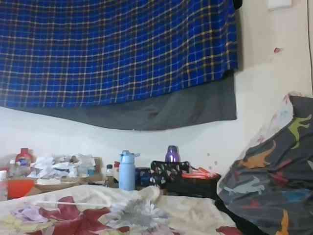 Vinsishly11