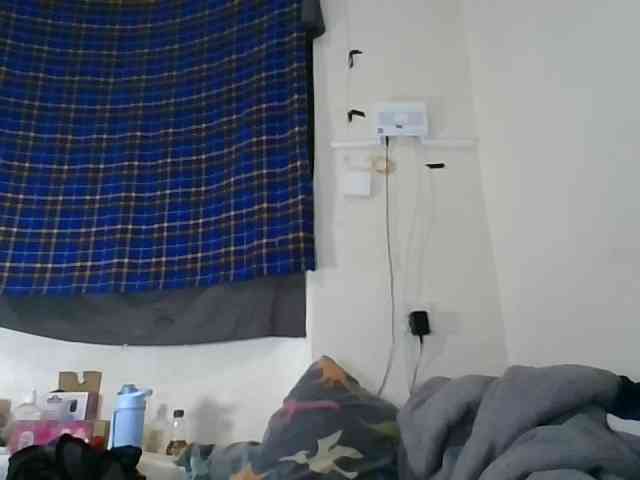 Vinsishly11 webcam