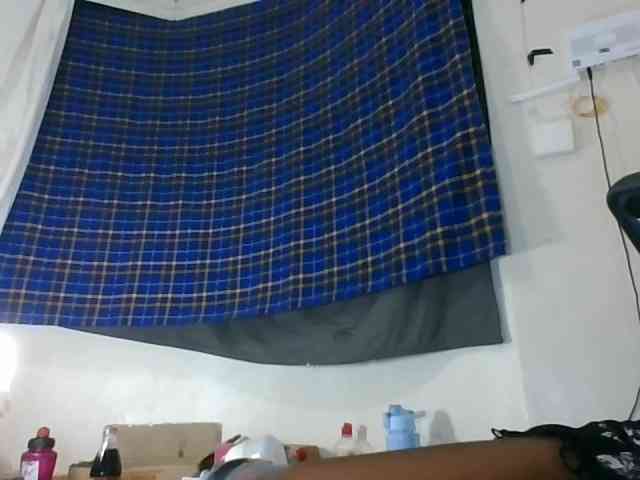 Vinsishly11 webcam
