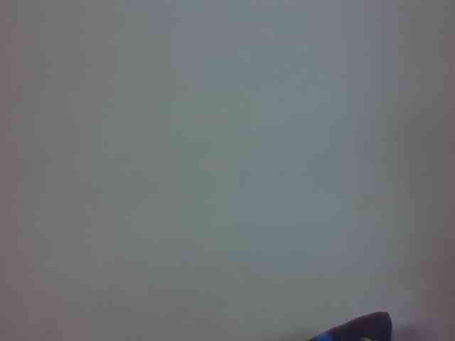 Vinsishly11 webcam