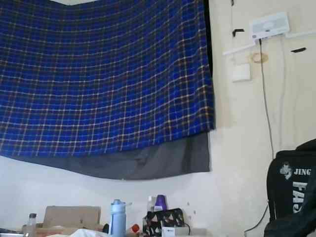 Vinsishly11 webcam