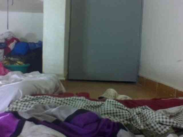 Vinsishly11 webcam