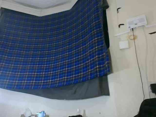 Vinsishly11
