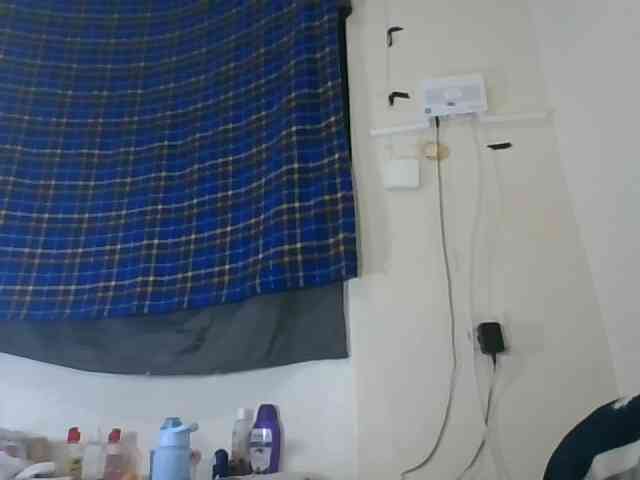 Vinsishly11 webcam
