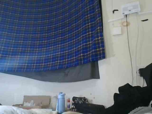 Vinsishly11