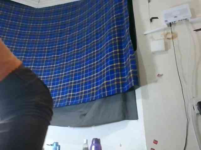 Vinsishly11