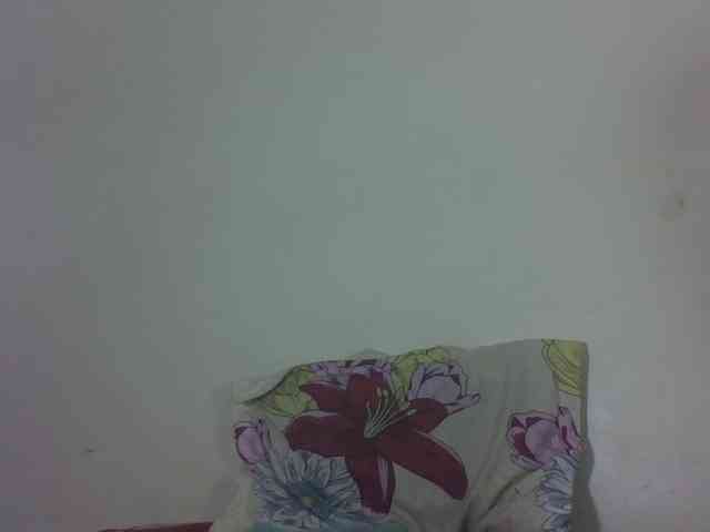 Vinsishly11 webcam