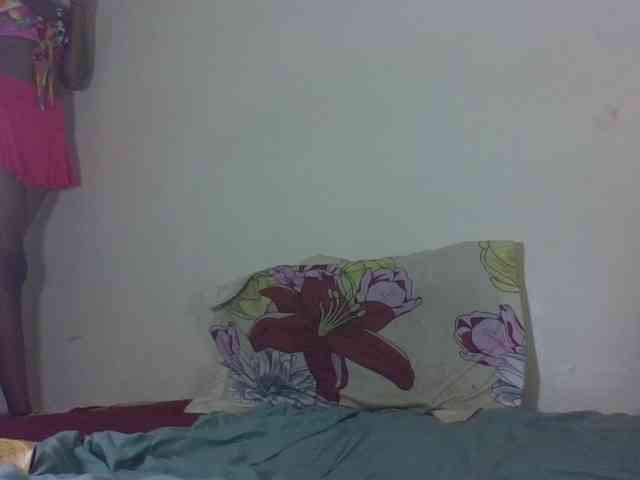 Vinsishly11 webcam