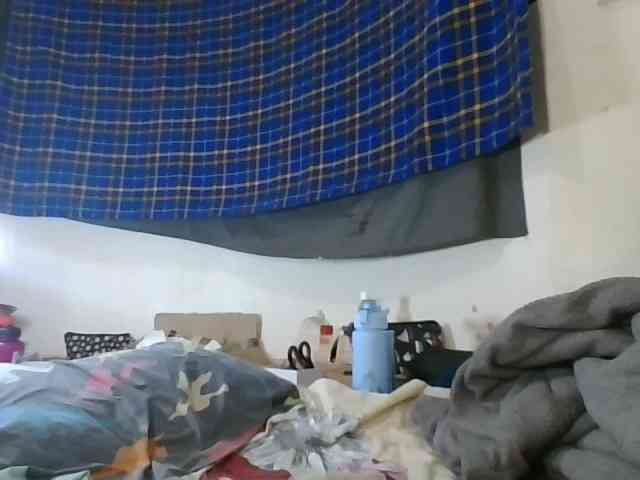 Vinsishly11