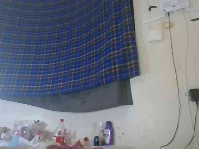 Vinsishly11 webcam