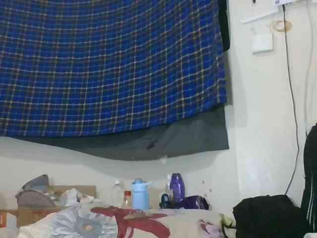 Vinsishly11 webcam