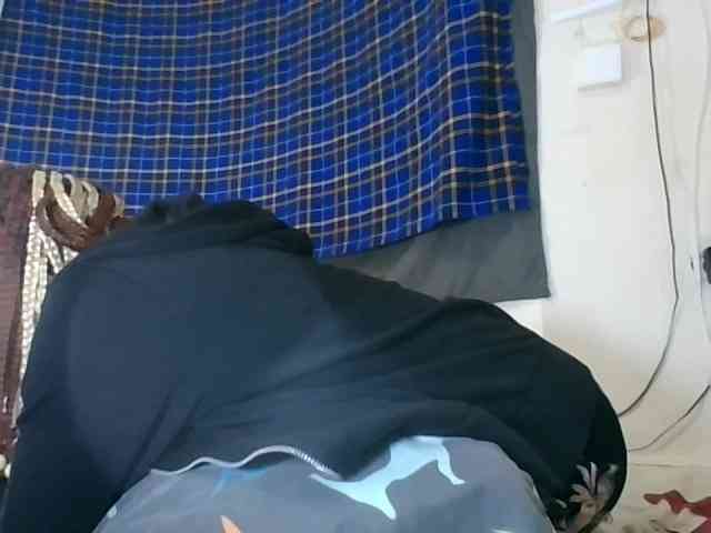 Vinsishly11 webcam