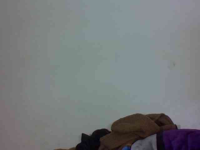 Vinsishly11 webcam