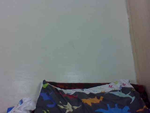 Vinsishly11 webcam
