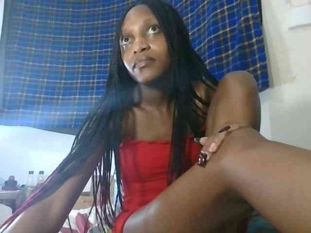 Model: Vinsishly11