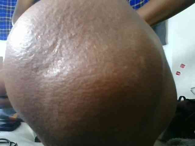 Vinsishly11