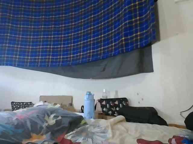 Vinsishly11