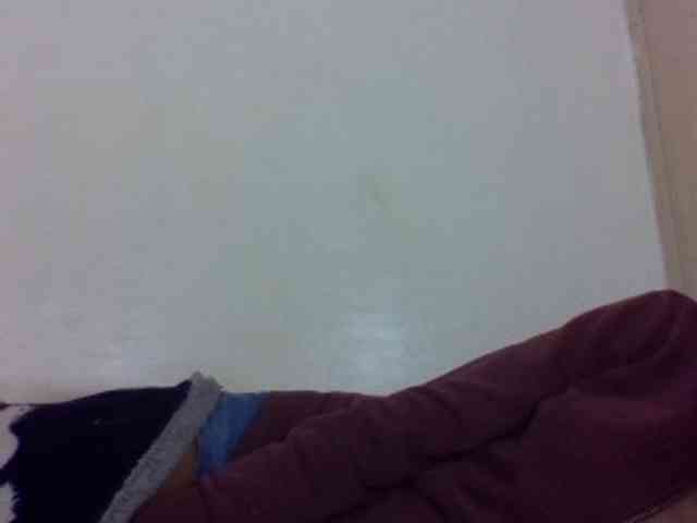 Vinsishly11 webcam