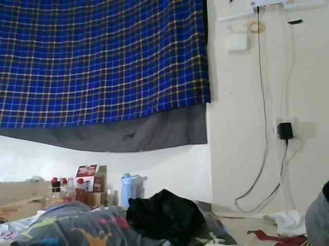 Vinsishly11 webcam