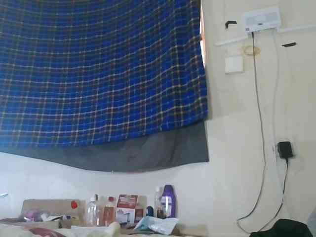 Vinsishly11
