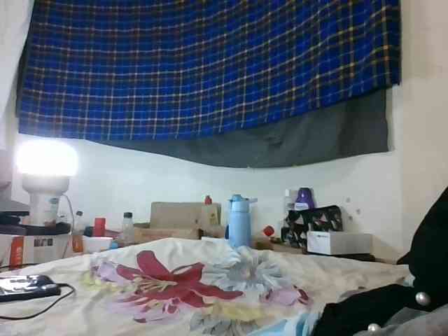 Vinsishly11