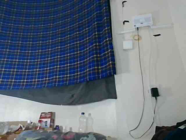 Vinsishly11 webcam