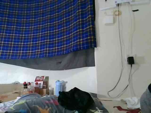 Vinsishly11 webcam
