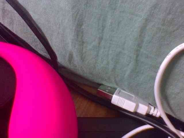 Vinsishly11 webcam