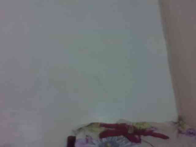 Vinsishly11