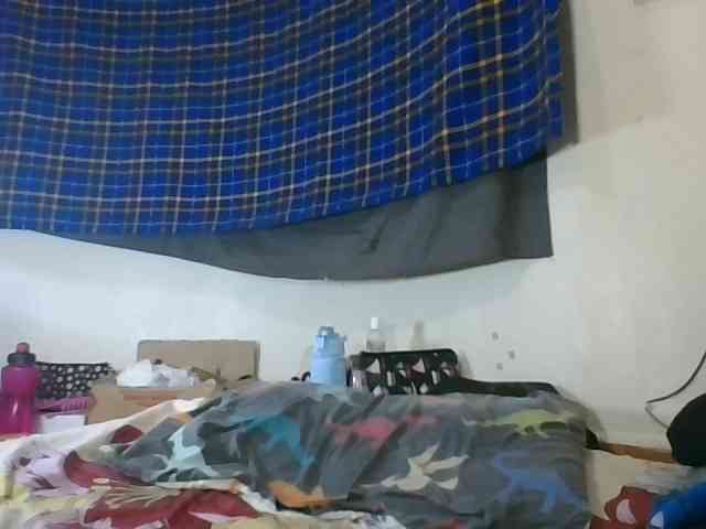 Vinsishly11