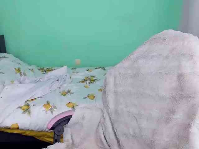 AdelRay webcam