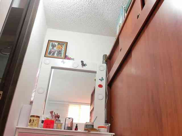 Tammymodell webcam