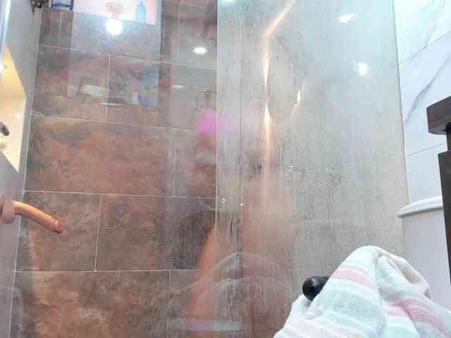Tammymodell webcam