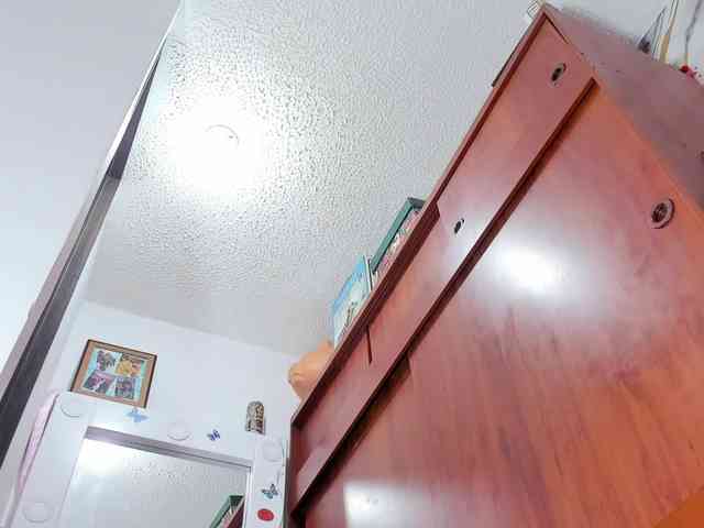 Tammymodell webcam