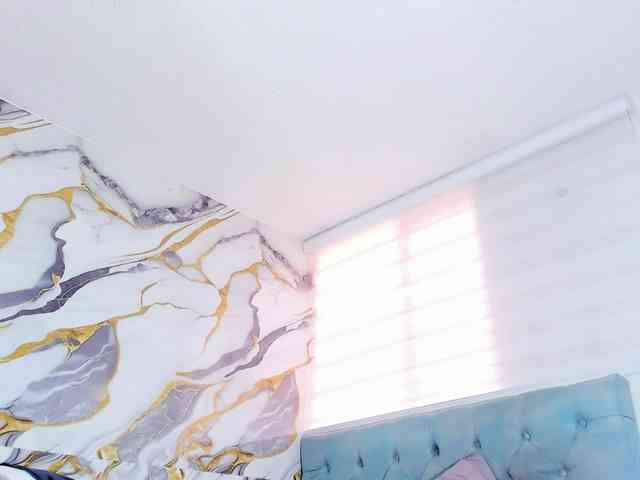 Tammymodell webcam