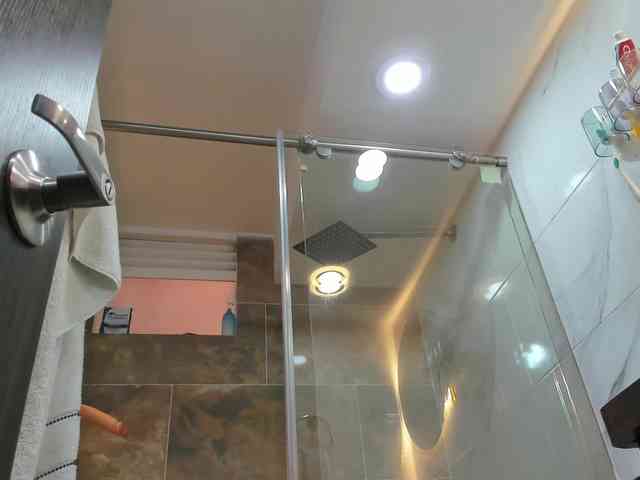 Tammymodell webcam