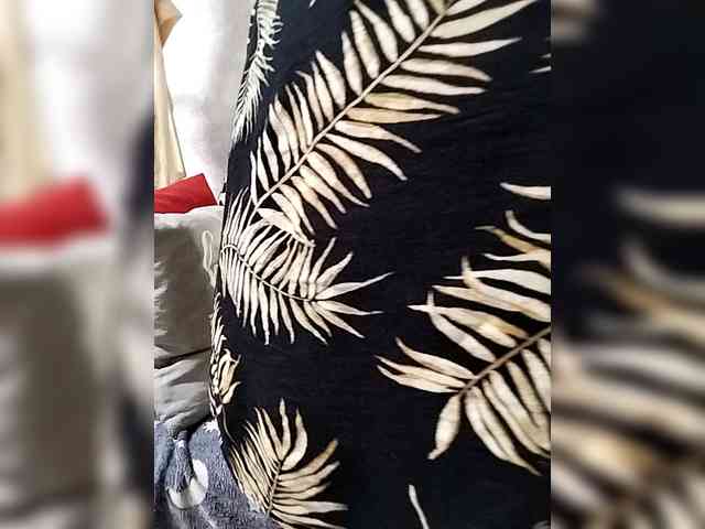 AlexAlexandra webcam