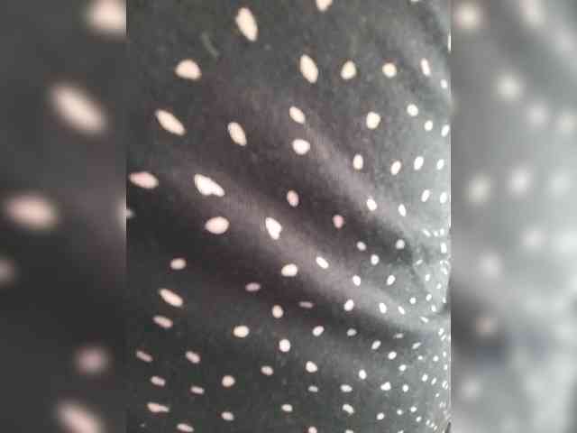 -Alex-A- webcam